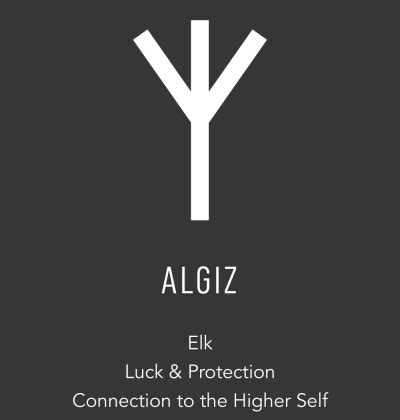 Algiz Rune Flags: From Norse Origins to Nazi Banners